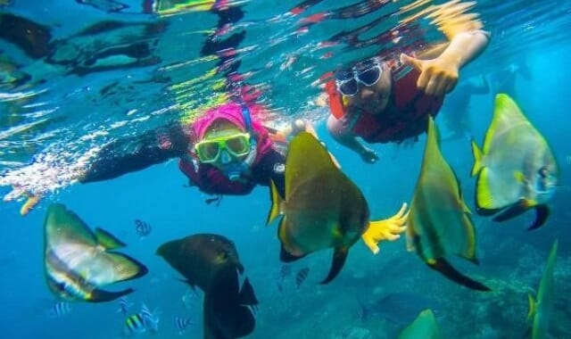 Bangsring Underwater