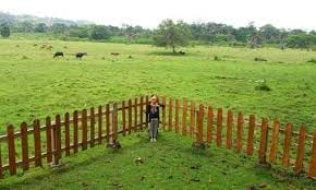 Padang Savana Sadengan